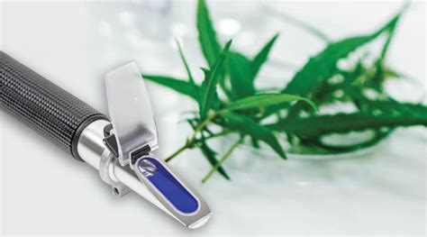 refractometer cannabis|Brix Levels And What It Means To Cannabis .